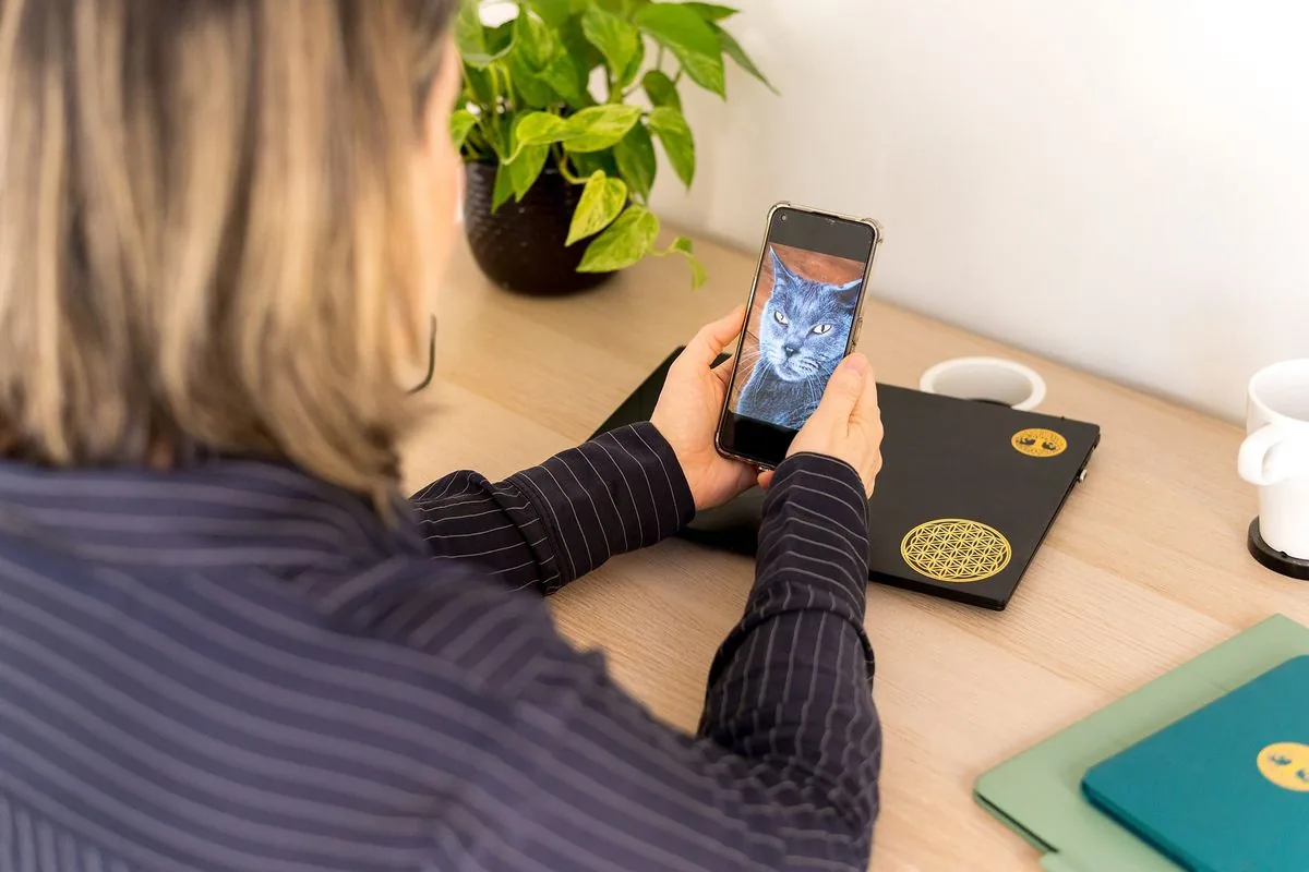 Communication animale : Sophie, à son bureau, regarde la photo d’un chat sur l’écran de son téléphone