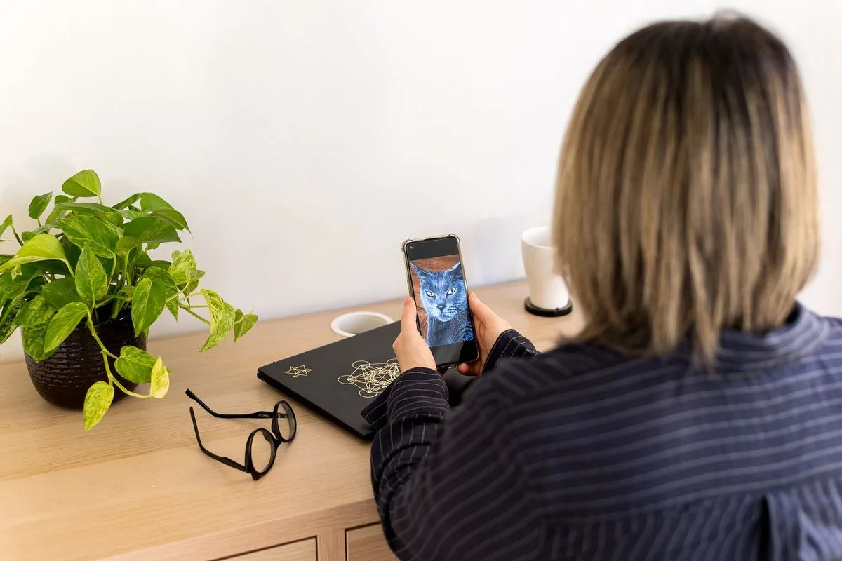 Communicatrice animalière : Sophie, à son bureau, regarde la photo d’un chat sur son téléphone