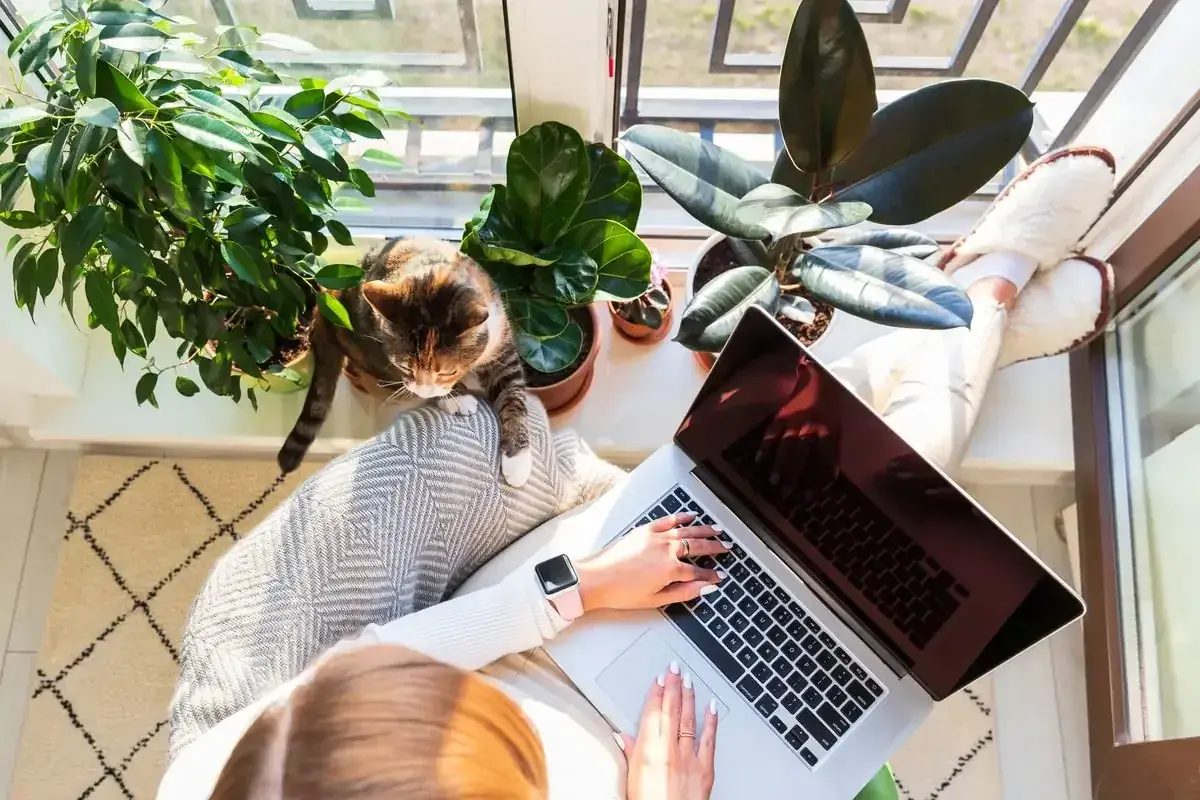 Formation en communication animale : une femme suit un cours sur son ordinateur portable, son chat installé à côté d’elle
